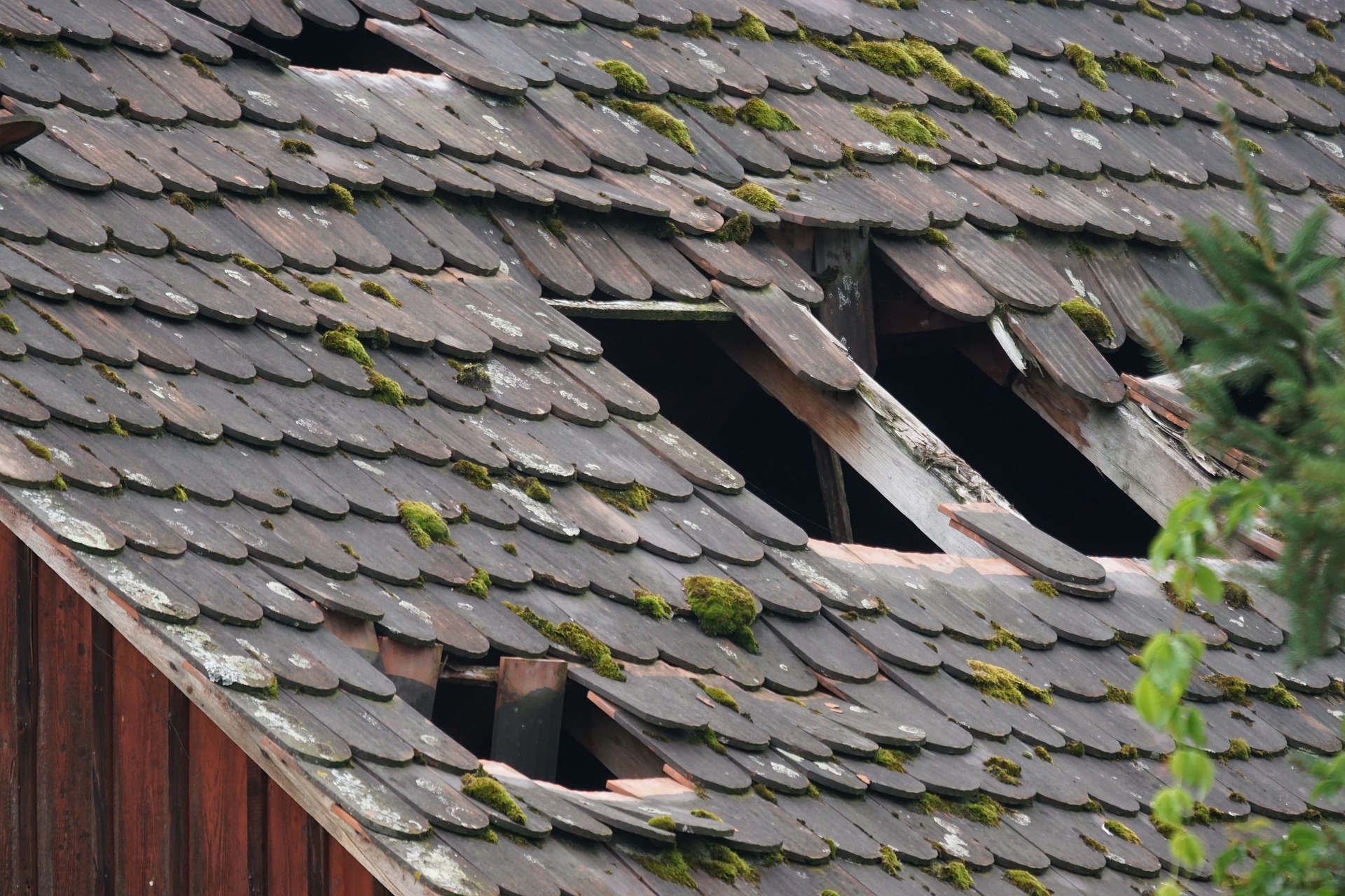 What To Do When Your Roof Collapses